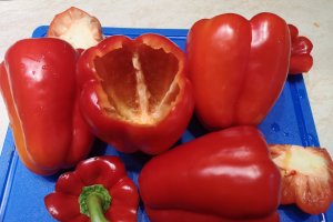 Ardei umpluti cu carne de curcan, in sos de rosii