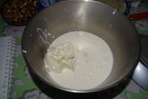 Desert tort Egiptean, varianta Miha