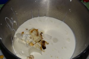 Desert tort Egiptean, varianta Miha