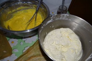 Desert tort Egiptean, varianta Miha