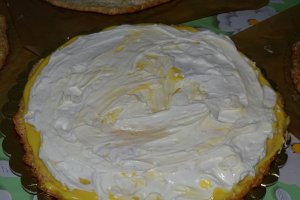 Desert tort Egiptean, varianta Miha