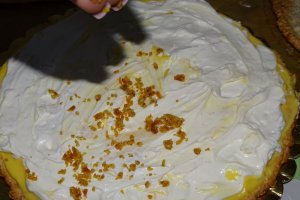 Desert tort Egiptean, varianta Miha