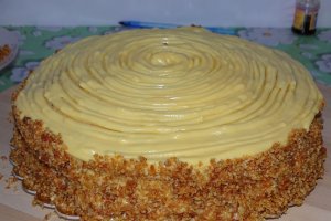 Desert tort Egiptean, varianta Miha