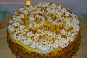 Desert tort Egiptean, varianta Miha