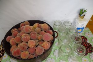 Compot din piersici rosii de gradina