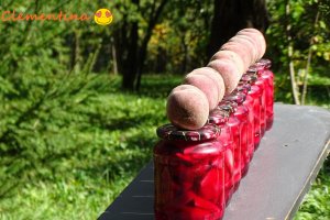 Compot din piersici rosii de gradina