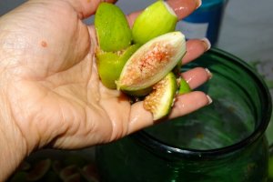 Lichior smochine