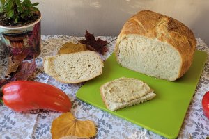 Paine cu cartofi coapta la vasul din ceramica Crock Pot