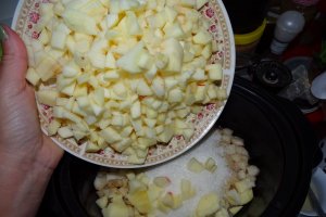Gem de mere si pere la slow cooker Crock Pot