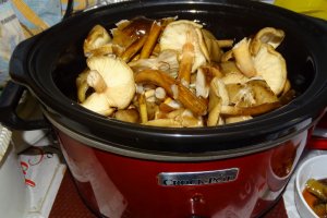 Ghebe gatite la slow cooker Crock Pot