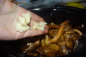 Ghebe gatite la slow cooker Crock Pot