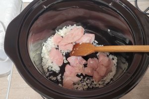 Tocanita de pui cu ardei copt la slow cooker Crock Pot