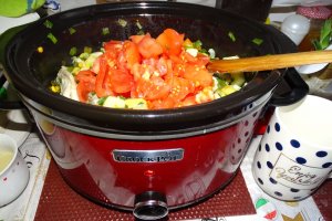 Tocana Crocktober la slow cooker Crock Pot