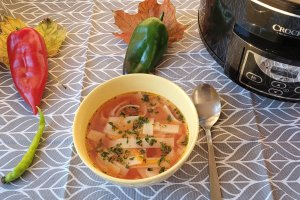 Supa de rosii cu taitei la slow cooker Crock Pot