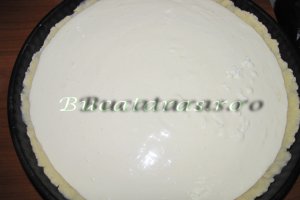 Prajitura cu branza dulce si stafide