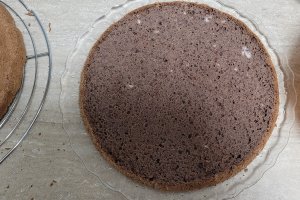 Desert tort Jaffa
