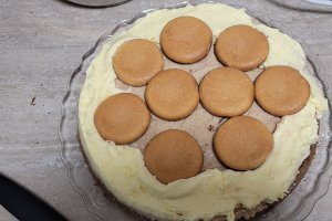 Desert tort Jaffa