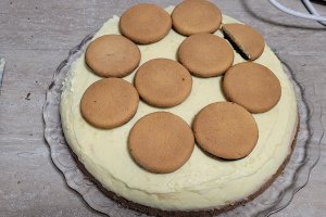 Desert tort Jaffa