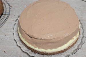 Desert tort Jaffa