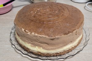 Desert tort Jaffa