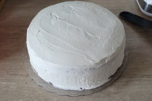 Desert tort Jaffa