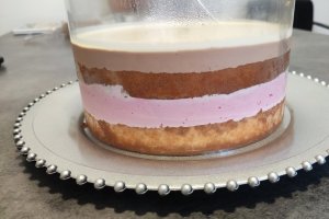 Desert tort cu fructe de padure si ciocolata (bucuria copiilor)