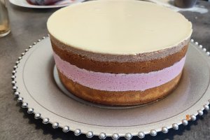 Desert tort cu fructe de padure si ciocolata (bucuria copiilor)
