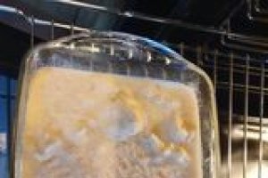 Conopida gratinata, cu parjoale de pui