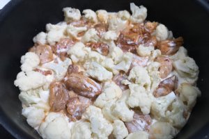 Conopida cu carne de pui, gratinate la cuptor