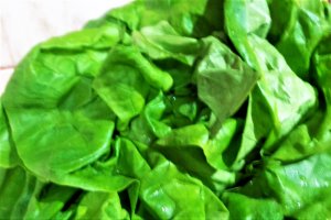 Ciorba de salata verde, ciuperci si codita de purcel afumata, cu smantana