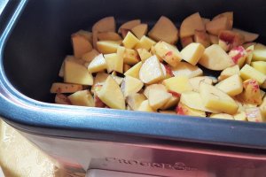 Piept de pui impanat, la  Multicooker 5 in 1 Digital 5,6 l Crock Pot-reteta nr.1900
