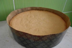 Desert tort Bradul de Craciun