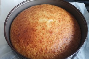 Desert tort cu crema namelaka de mure si ciocolata