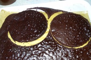 Desert tort 18 ani - Paul