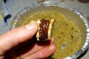 Desert Tobite