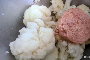Chec cu conopida si ton