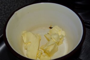 Desert tort Amandina