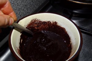 Desert tort Amandina