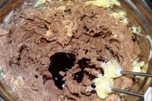 Desert tort Amandina