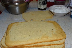 Desert tort Amandina