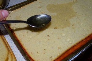Desert tort Amandina