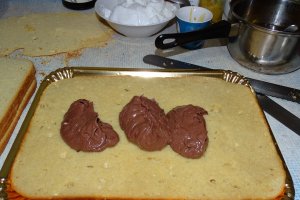 Desert tort Amandina