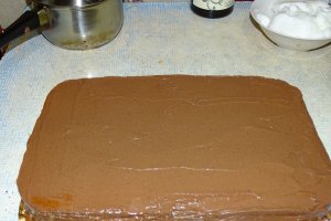 Desert tort Amandina