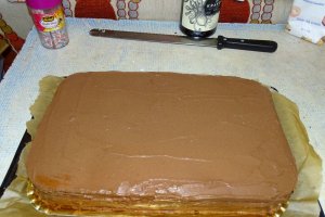 Desert tort Amandina