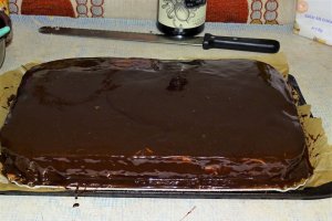 Desert tort Amandina