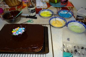 Desert tort Amandina