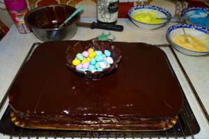 Desert tort Amandina