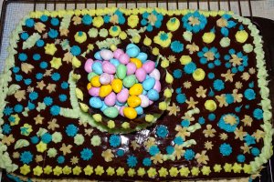 Desert tort Amandina