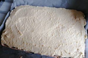Desert prajitura cu blat din cocos si crema de vanilie