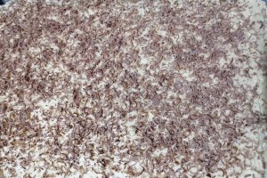 Desert prajitura cu blat din cocos si crema de vanilie